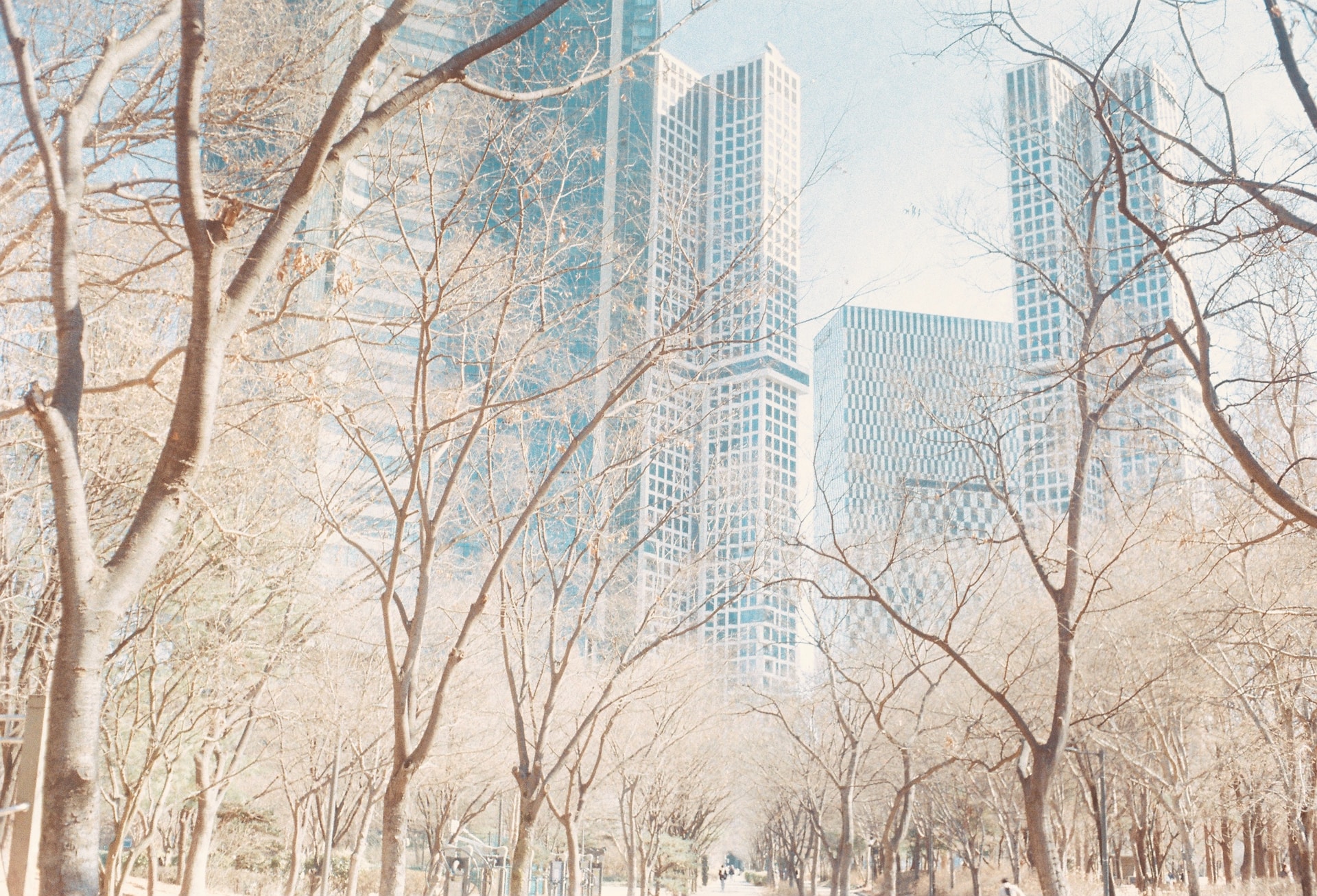 Seoul Forest Park, Ttukseom-ro, Seongdong-gu, Seoul